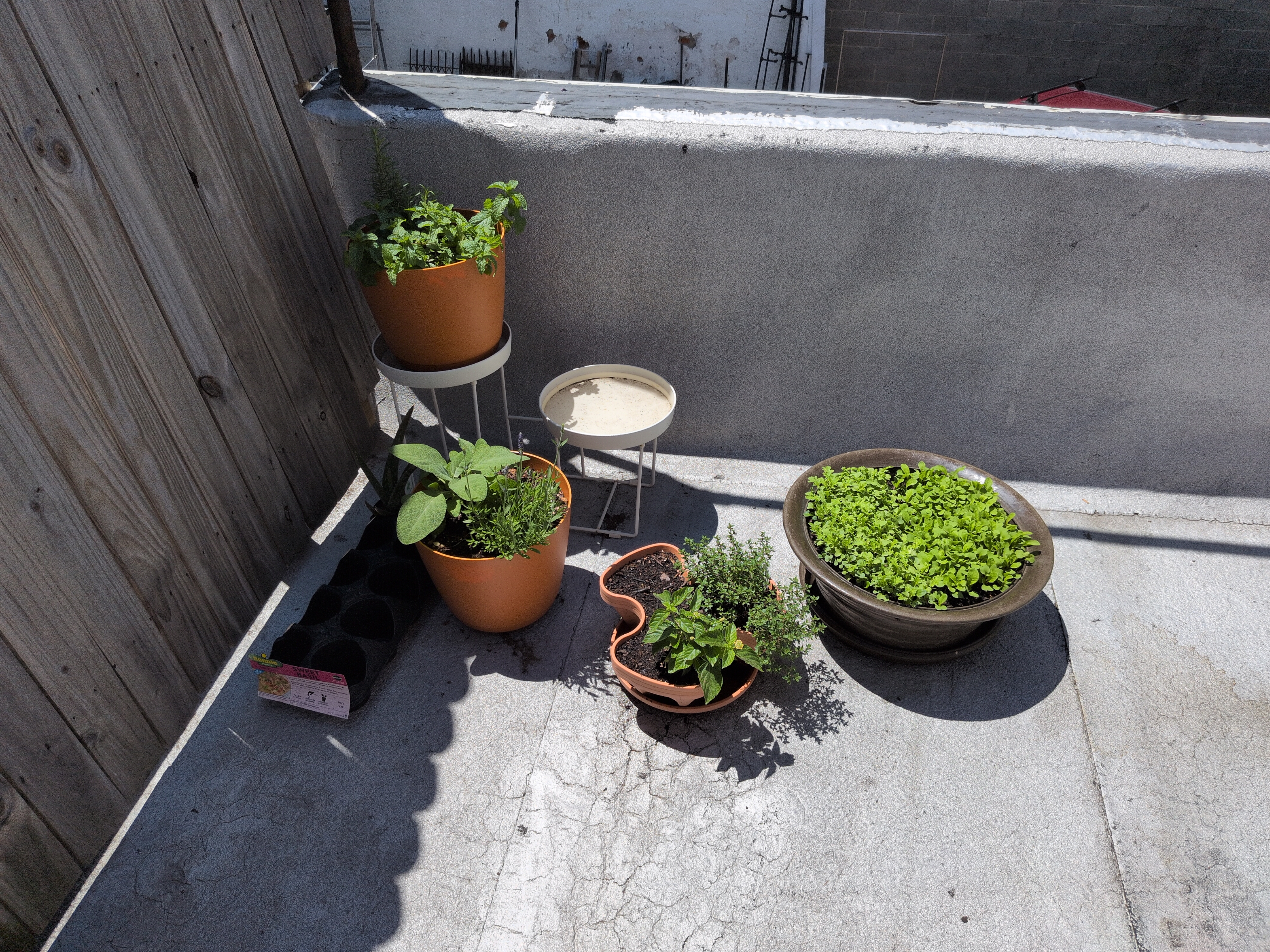 A bunch of planters filled with various plants including sage, rosemary, a yellow flower, thyme, and mint